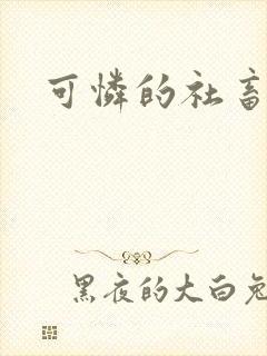 可怜的社畜小说