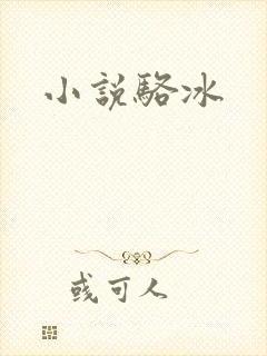 小说骆冰