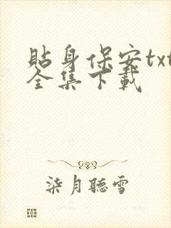 贴身保安txt全集下载