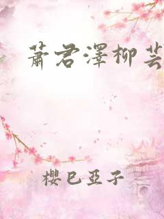 萧君泽柳芸小说