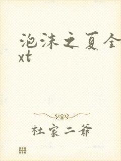 泡沫之夏全集txt