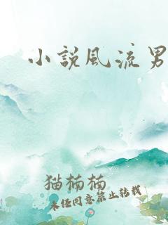 小说风流男护理