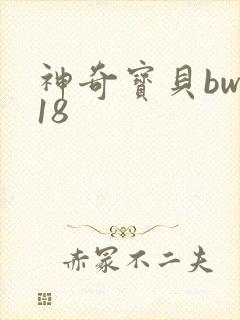 神奇宝贝bw118