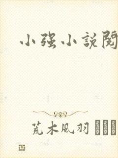 小强小说阅读网