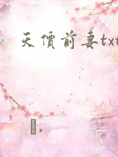 天价前妻txt