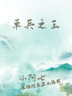 单兵之王