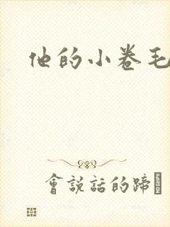 他的小卷毛