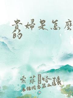 贵妇是怎么炼成的