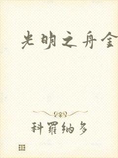 光明之舟金手指