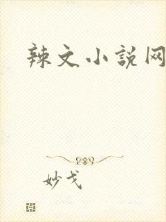 辣文小说网