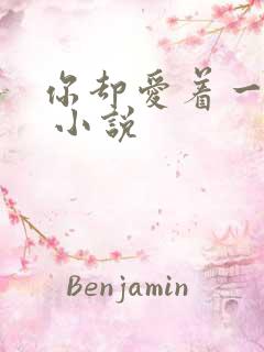 你却爱着一个他 小说