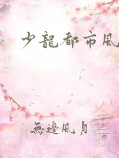 少龙都市风流行