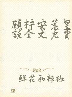 顾柠安叶昱城小说全文免费阅读