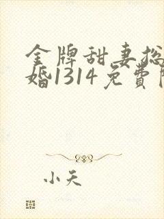 金牌甜妻总裁宠婚1314免费阅读