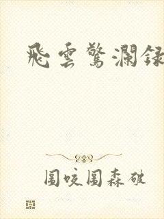 飞云惊澜录