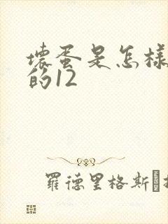 坏蛋是怎样炼成的12