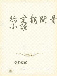 约定期间爱上你小说