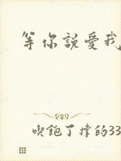 等你说爱我小说