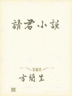 请君小说
