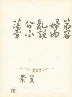 荡公乱妇第51章小说内容