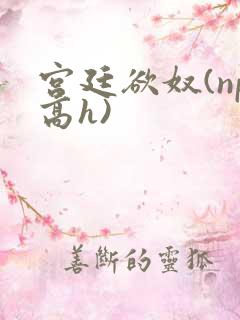 宫廷欲奴(np高h)