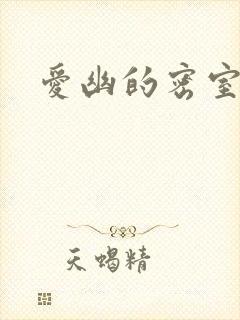 爱幽的密室小说
