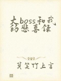 大boss和我的悲喜录