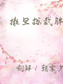 撒旦总裁胖前妻