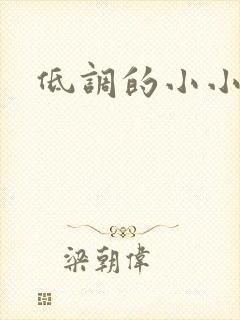 低调的小小宫女