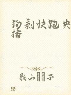 狗剩快跑央八首播