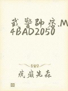 武警帅痞.MP4BAD2050