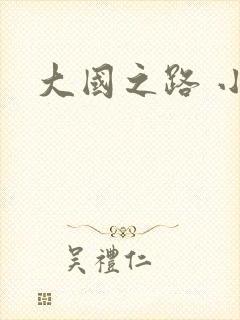 大国之路 小说