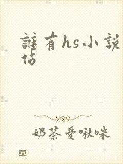 谁有hs小说网站
