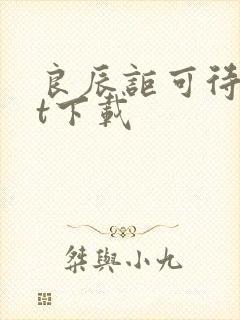 良辰讵可待txt下载