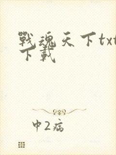 战魂天下txt下载