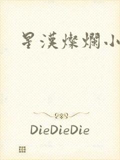 星汉灿烂小说