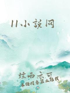 11小说网