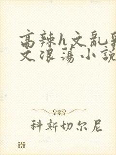 高辣h文乱乳h文浪荡小说txt