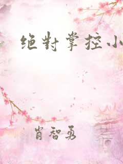 绝对掌控小说