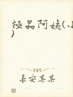 极品阿姨(小说)