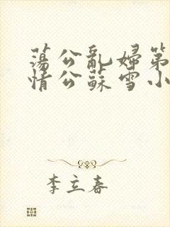 荡公乱妇第1章情公苏雪小说