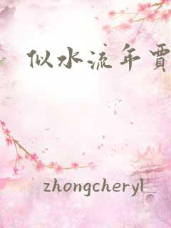 似水流年贾二虎