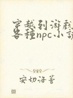 穿越到游戏里和各种npc小说