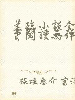 叶临小说全文免费阅读无弹窗