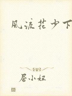 风流花少下载