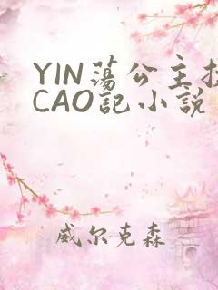YIN荡公主挨CAO记小说