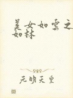 美女如云之高手如林