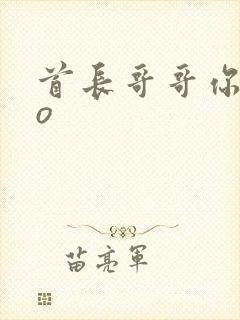 首长哥哥你好po