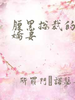 腹黑总裁的双面娇妻