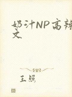 奶汁NP高辣H文